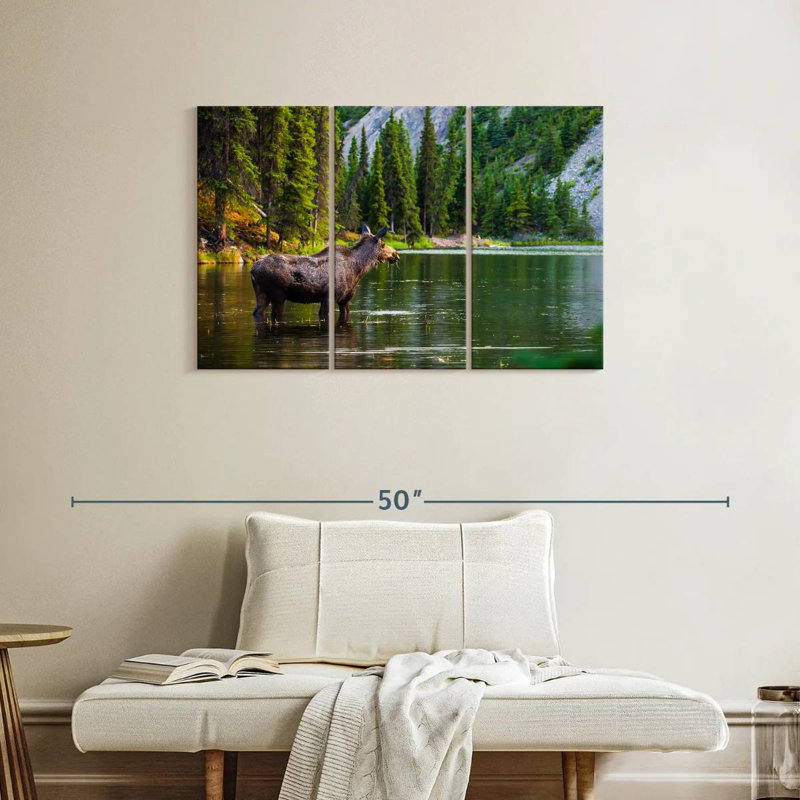 Brampt Bathing Alaskan Moose, 24" H x 38" W