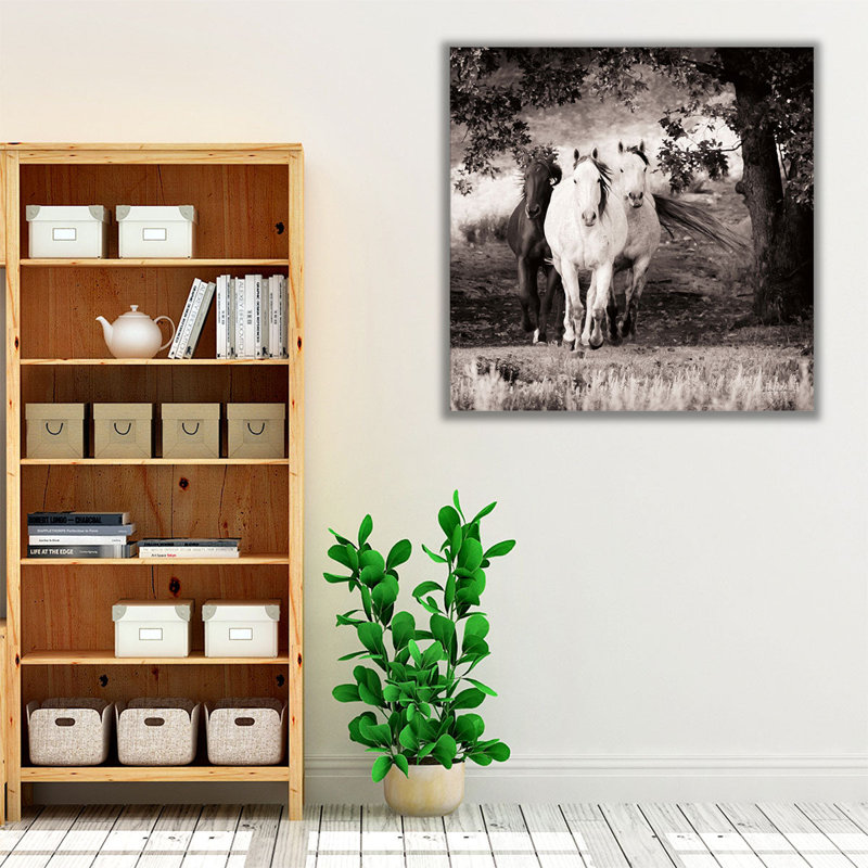 Three Wild Horses Sepia - reproduction d'art sur toile, H 12 po x l 12 po
