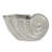 Nautilus Shell Planter, Ceramic - 4”