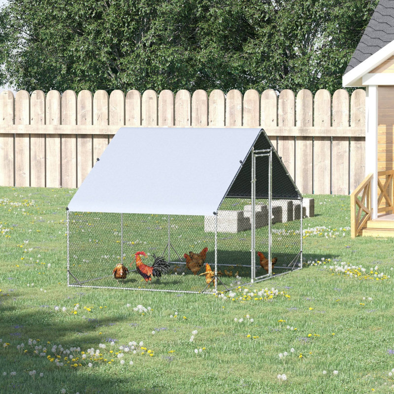 Walk In Chicken Coop For Up To 8 Chickens