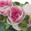 Housse de coussin 3D Rose Flower