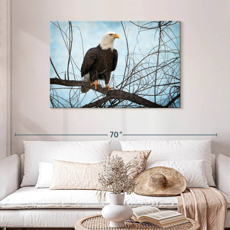 Portrait d'un aigle à tête blanche Brampt