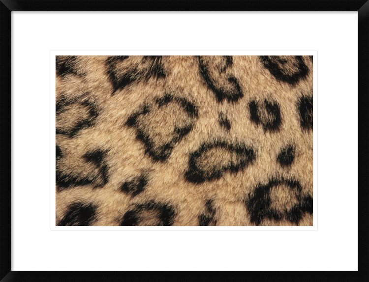 « snow leopard skin montrant un motif tacheté », reproduction de photo encadrée, H 18 po x l 24 po x P 1,5 po