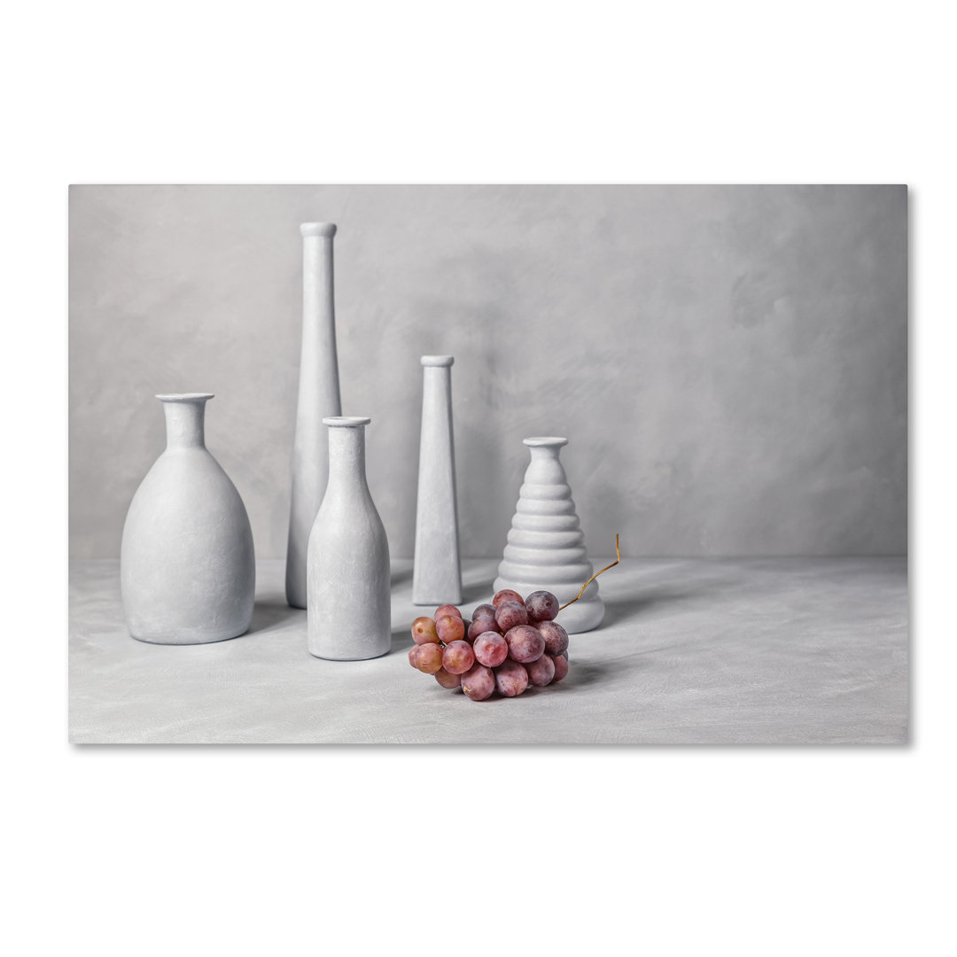 'Grapes' Photographic Print on Wrapped Canvas Trademark Fine Art 