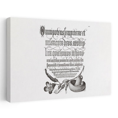 Affiche murale contemporaine abstraite de mille-pattes