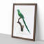 Long-Tailed Parakeet by F. Levaillant - Framed Print-55577266-55577271