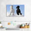 Chevaux frison d'hiver-107471579