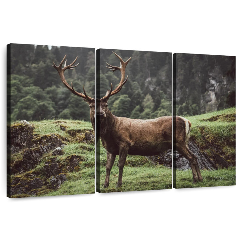 Brampt Majestic Mountain Deer, 48" H x 74" W