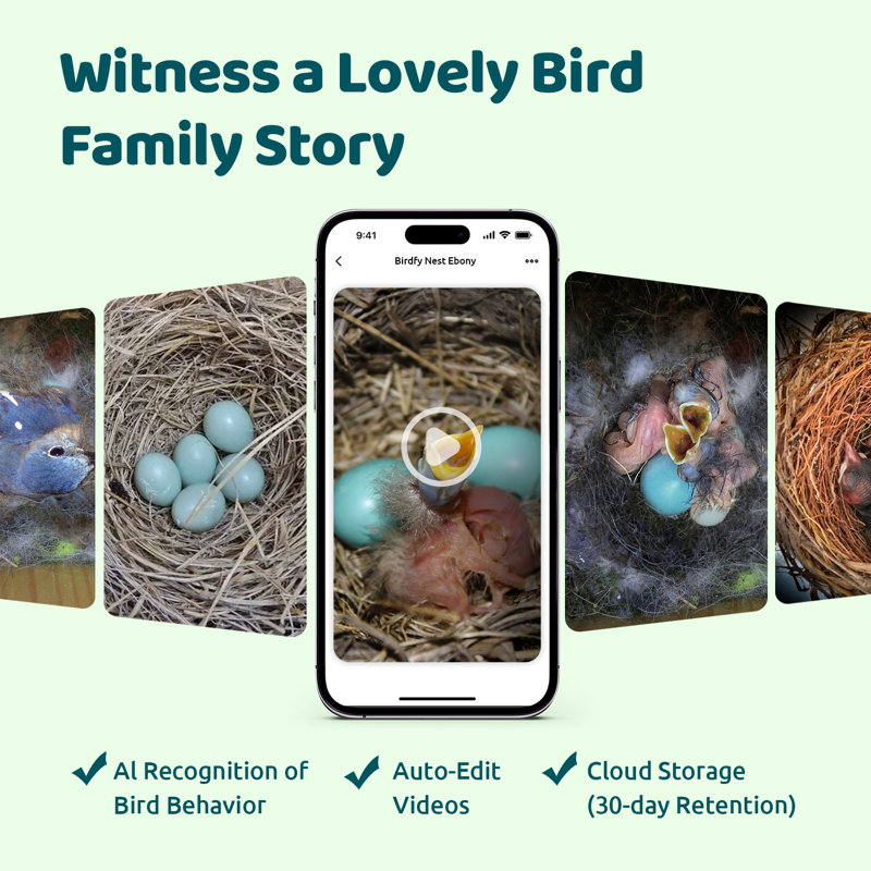 Birdfy Smart Bird Houses for Outside Solar Powered, 1080P HD Live View Bird House with Camera, Perfect Viewing Bird Nesting and Hatching, Bird Feeder with Camera for Most Birds