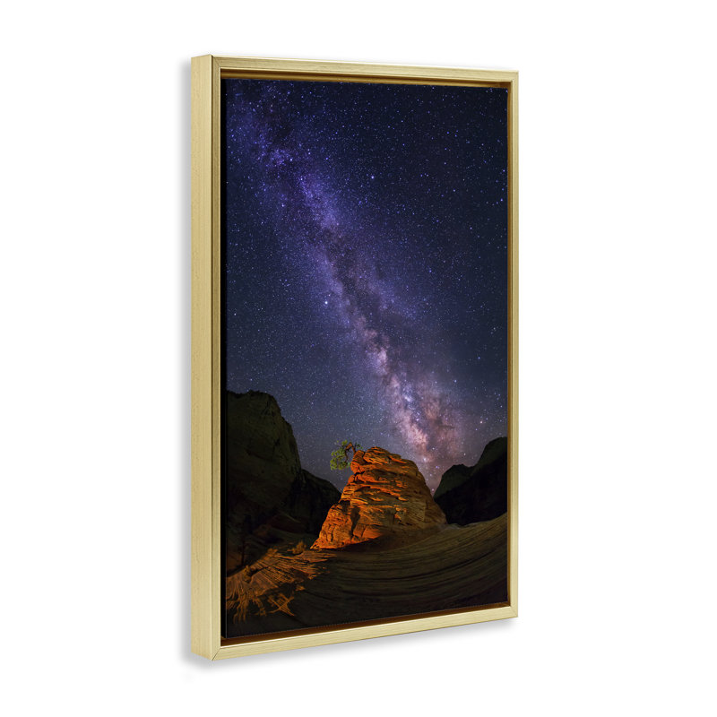 Cadre flottant Milky Way, H 25 po x l 17 po, Cadre flottant métallique doré