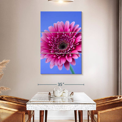 Harnek Pink Gerbera Daisy I