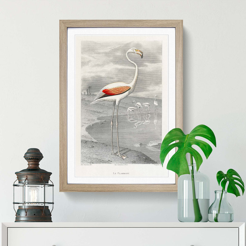 A Flamingo by Edouard Travies - Picture Frame Painting Print, 48cm H x 36cm W x 2cm D, Oak Framed