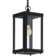 Luciano Outdoor Hanging Lantern