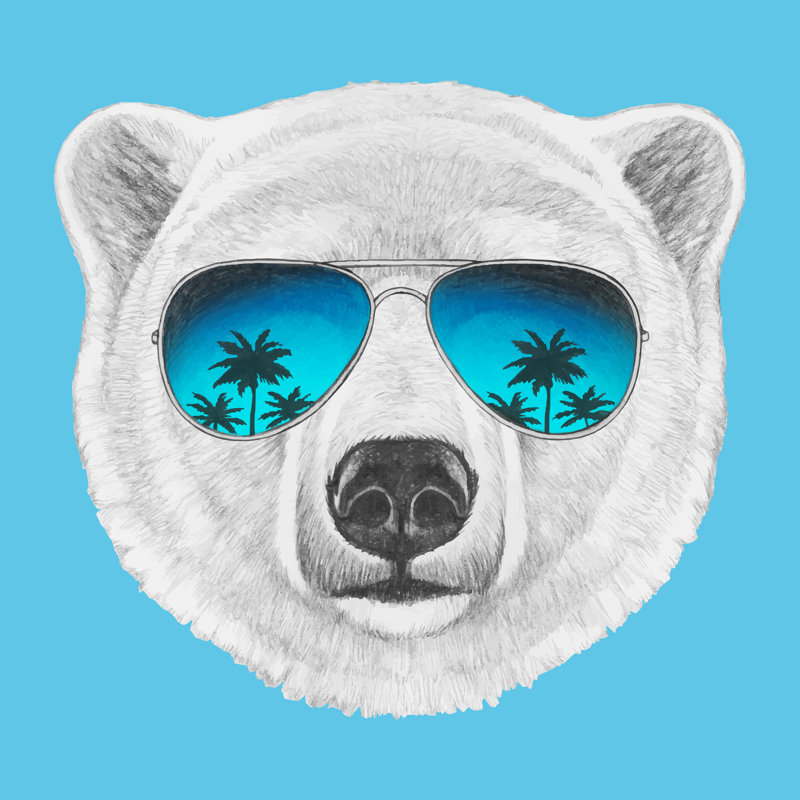 Bear With Sunglasses - Wrapped Canvas Print, 30cm H x 30cm W x 3.8cm D
