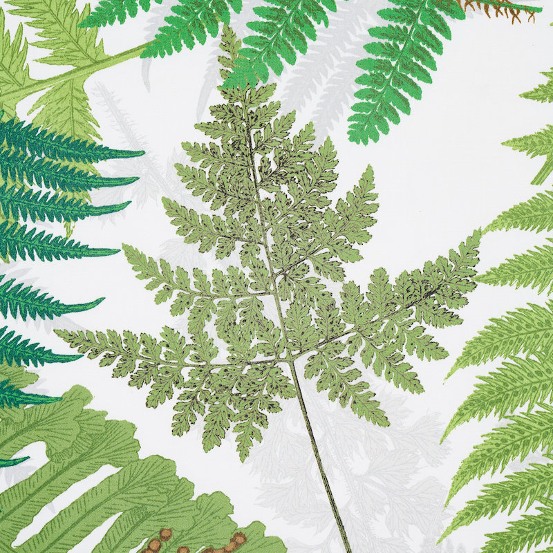 Schumacher x Clements Ribeiro Fernarium Fabric, Green/Ivory