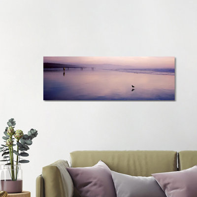 Sandpiper On The Beach, San Francisco, California, USA - Wrapped Canvas Panoramic Print