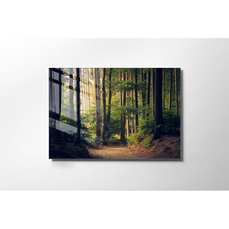 Superbe peinture murale en verre trempé 27,6 po x 39,4 po | 100% verre trempé, épaisseur: 0,16 pouce | Décoration élégante pour le salon ou le bureau, durable et facile à nettoyer, idée de cadeau parfaite