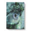 Glitter Eye In Abstract - Wrapped Canvas Print-55311627