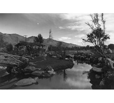 " Pool In Pleasure Park " by Ansel Adams