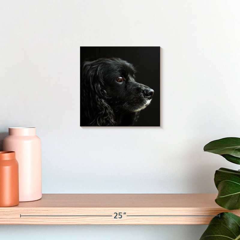 Crowle Cocker Spaniel Portrait, 10" H x 10" W