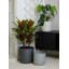 Finnlie Handmade Pot Planter-851669767-851669764