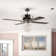 Netter 52'' Ceiling Fan with Light Kit