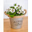 Osullivan Pot Planter
