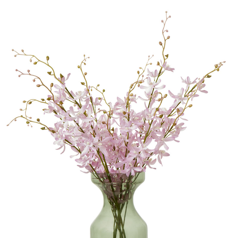 Anastasija Arrangement, Pink