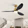 Loritta 52'' 3 - Blade Large Indooor Ceiling Fan With Light Kit and Remote, 3 LED Colors, 6 Speed Noiseless DC Motor, Timer
