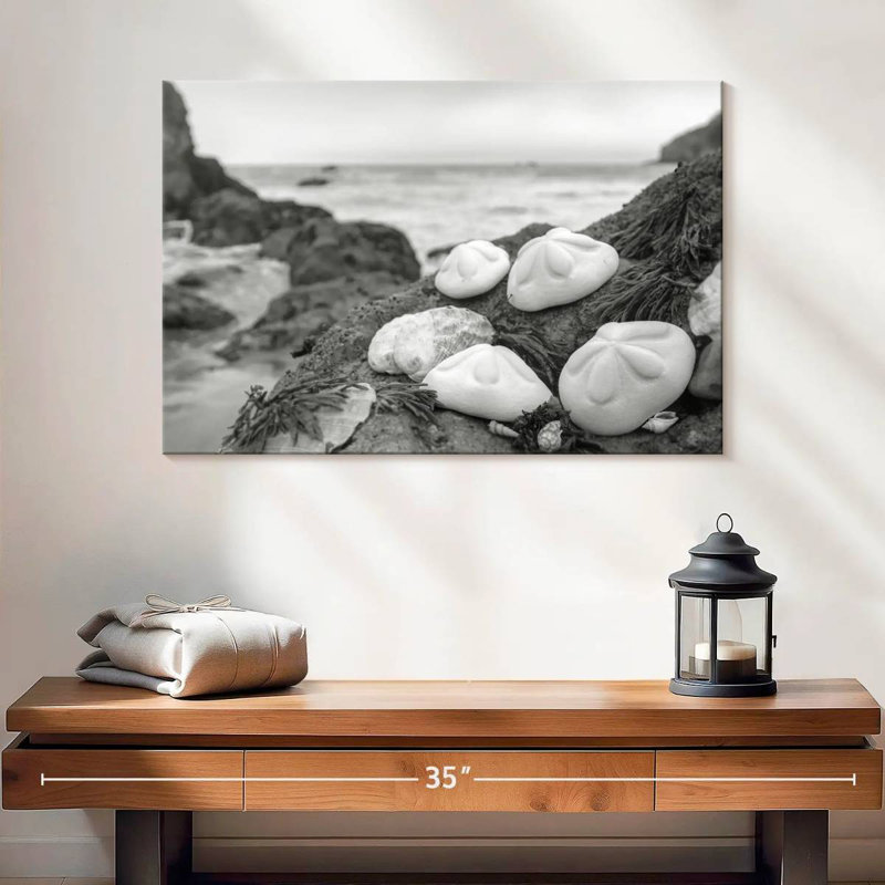 White Crescent Beach Shells IV, 16" H x 24" W