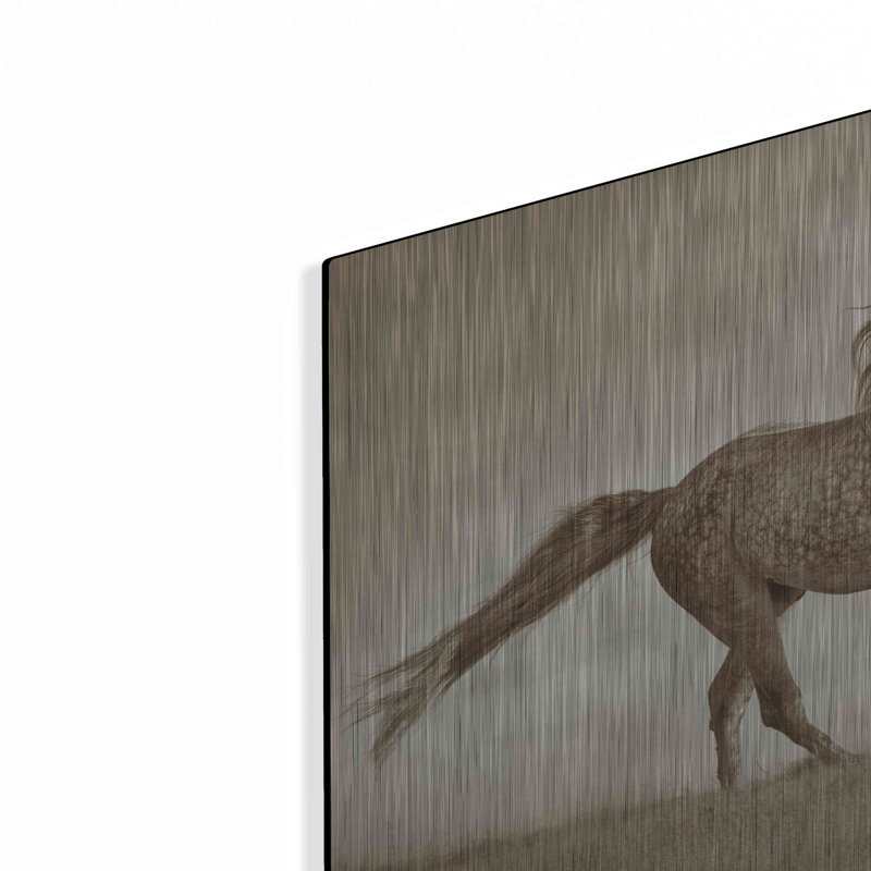 «Like The Wind» par Lisa Dearing, H 16 po x l 24 po