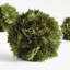 CYPRESS ORB 6.5"-575062520
