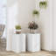 Ensemble de 2 plantes d'intérieur en bois d'ingénierie