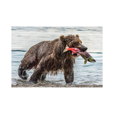 Fishing by Giuseppe Damico - Wrapped Canvas Print
