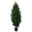 Faux Cypress Plant-742417864