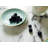 Charlotte Layla Bone China Round 4 Piece Coaster Set