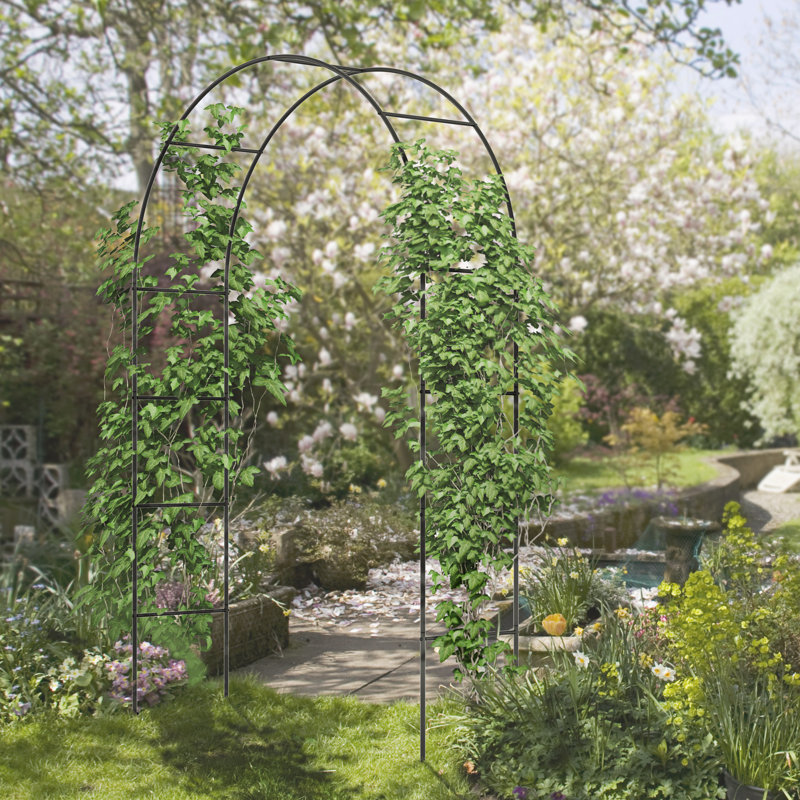 Treillis arqué de jardin 7,9 pi, arche en métal pour plantes grimpantes