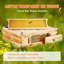 VEVOR Bee Hive Medium Box Starter Kit