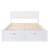 Standard Bed with Drawers-1335404606