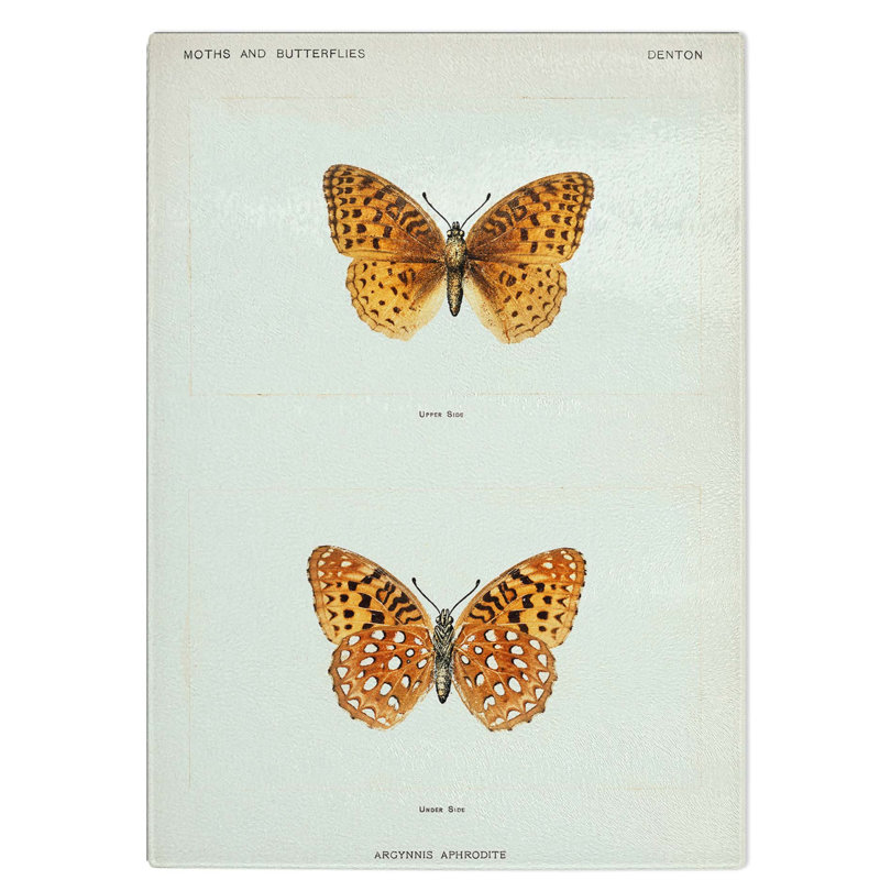 Tempered Glass Aphrodite Fritillary Butterfly Chopping Board, 28.5 cm W x 39 cm L