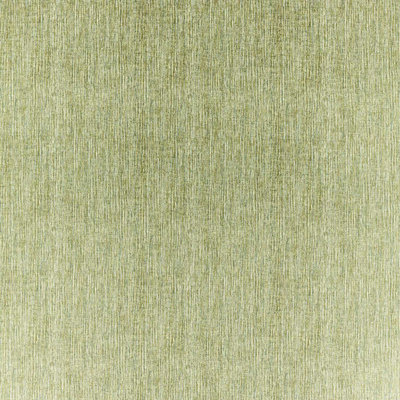 Zela Fabric