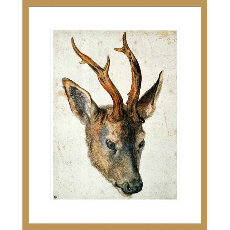 «Head of a Roe Deer» par Albrecht Dürer, impression giclée sur cadre, H 21,75 po x l 17,47 po