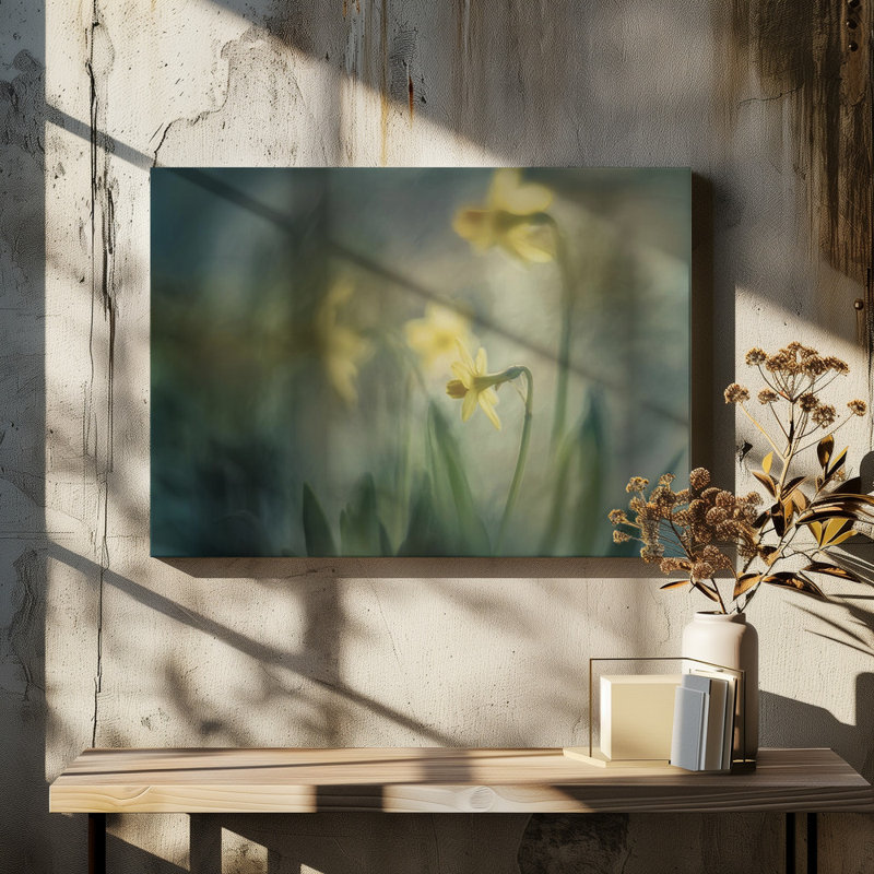 Wrapped Canvas Print, 50.8 cm H x 76.2 cm W