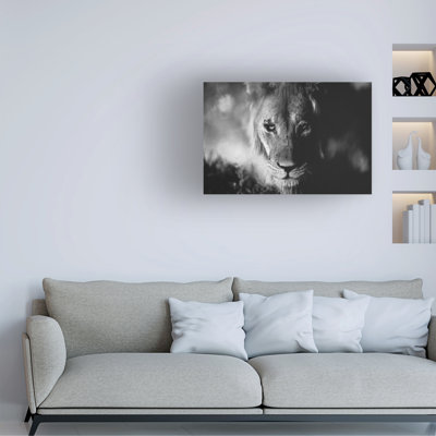 Œuvre sur toile «King Shawn Orbe Kalahari»