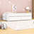 Casstown Twin Daybed with Two Drawers-1676685319