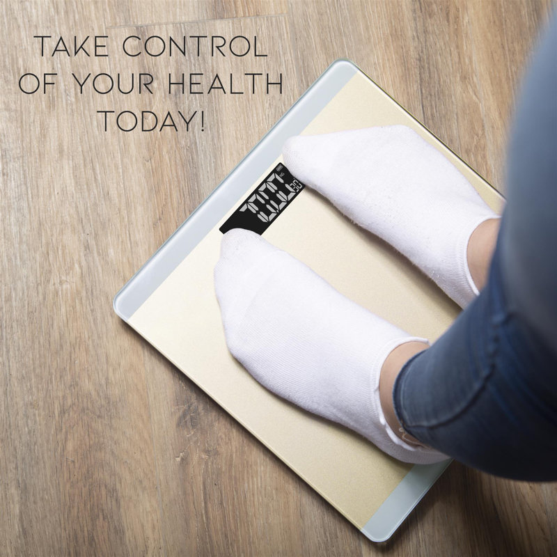 Symple Stuff Aizlyn Digital Glass Bathroom Scale