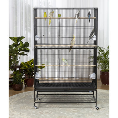 Elsie 60'' Steel Flat Top Flight Cage with Wheels