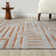 Vista Transitional Geometric Distressed Indoor Machine Washable Area Rug