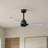 Alessandra 42'' Ceiling Fan-1421734436-1421734366