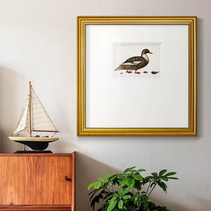 Golden Mallard - reproduction de cadre photo simple, H 21 po x l 21 po x P 1,25 po